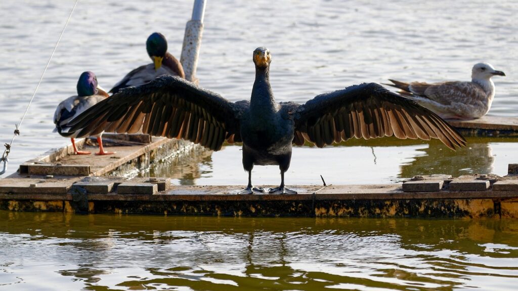 旦那の探偵依頼を分割払いでできる方法とは？