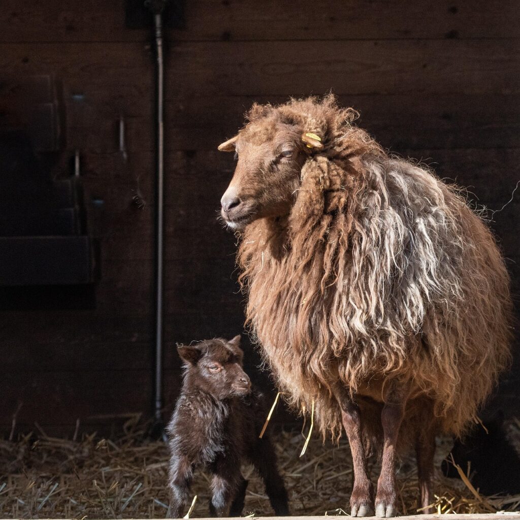 旦那の浮気に対する慰謝料の相場はどのくらい？