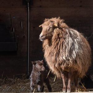 旦那の浮気に関する慰謝料の相場はどれくらい？