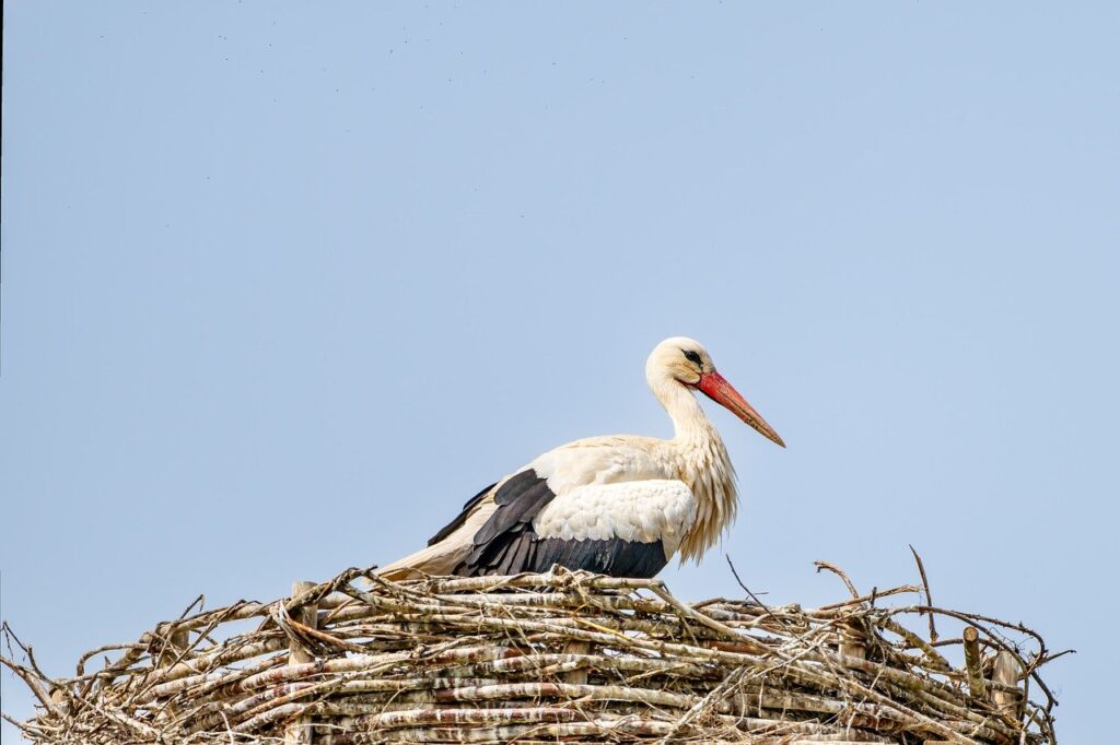 旦那の浮気に確信を持った後の再構築のコツは？