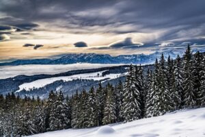 旦那の浮気を確信した後の再構築に役立つコツは？