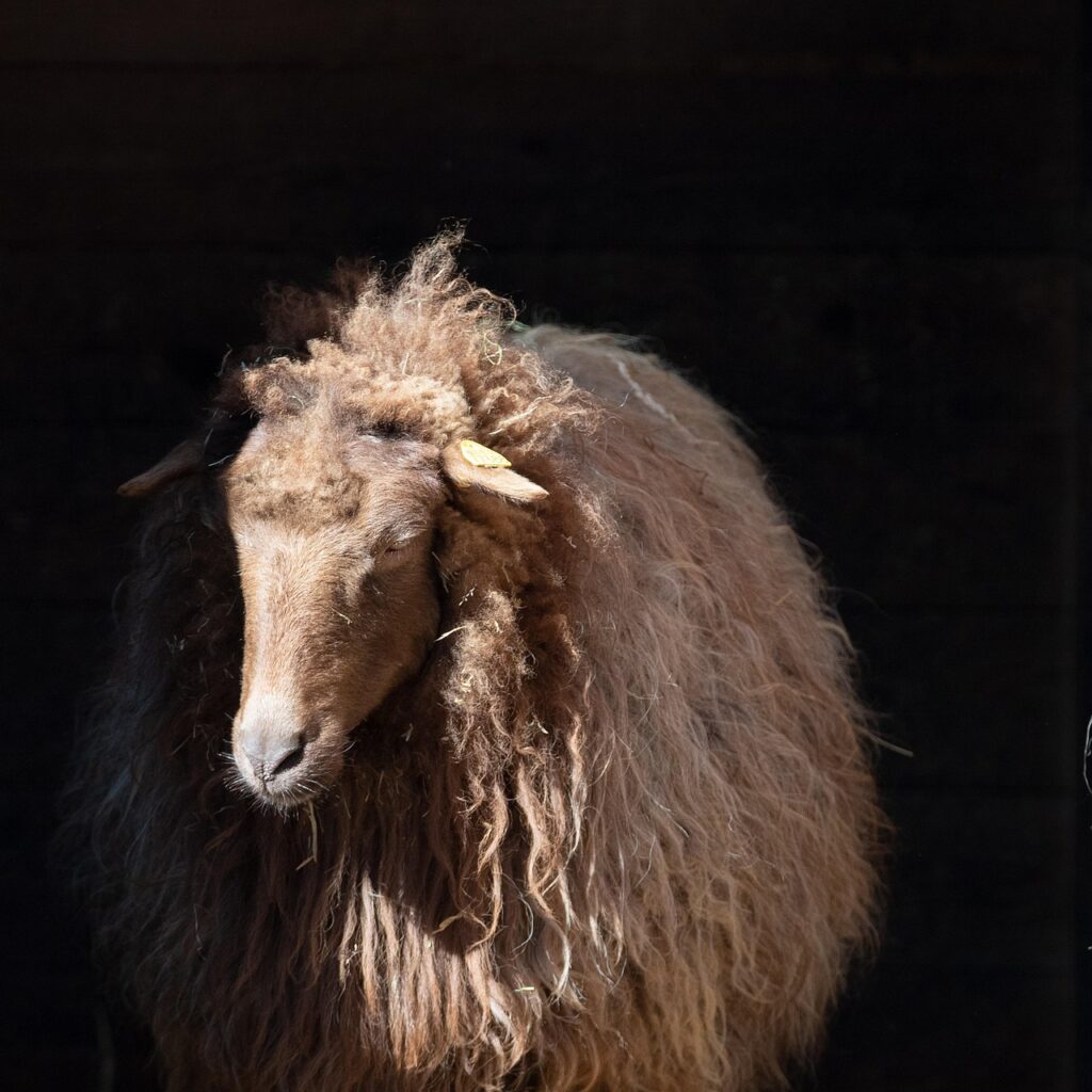 旦那の浮気が子供に与える影響を確信するにはどうすればいい？