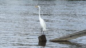 旦那の浮気の証拠はどこまで必要なのか？