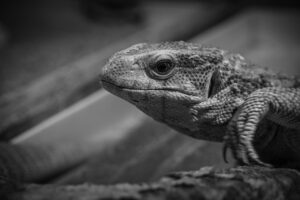 探偵に依頼する際の準備は何が必要ですか？