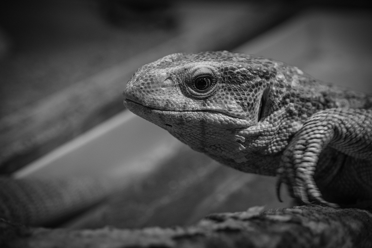 探偵に依頼する際の準備は何が必要ですか？