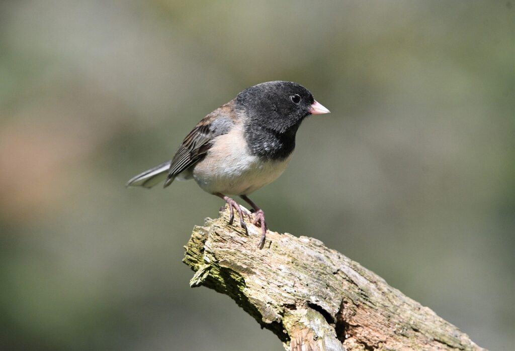 不倫の証拠として有効な写真の撮り方は？