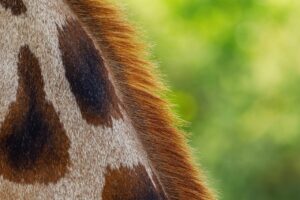 彼女の浮気をチェックするための方法は？