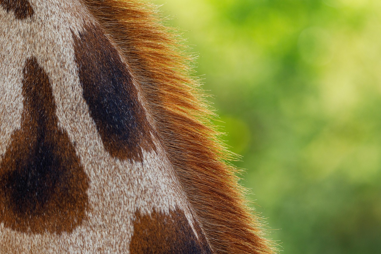 彼女の浮気をチェックするための方法は？