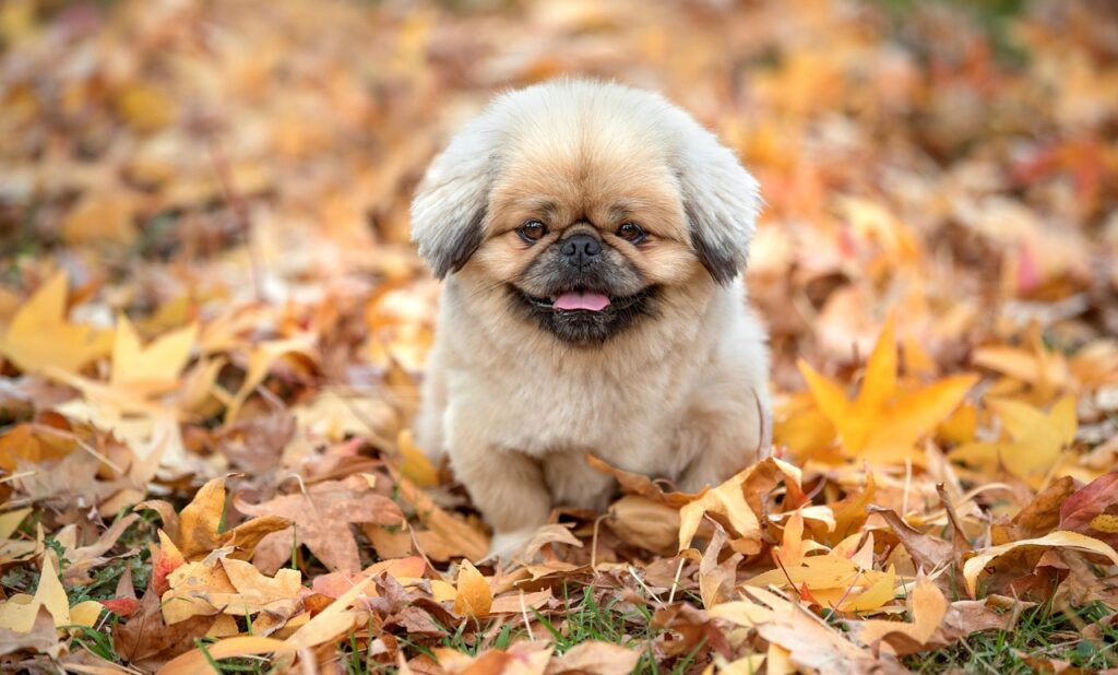 旦那の浮気が疑われる下着の変化とは何か？