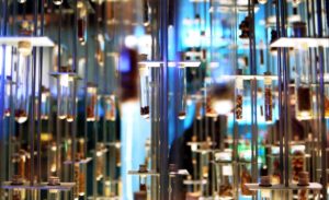 浮気の証拠をラブホテルで掴む方法は？