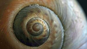 浮気の証拠を効率的に集める方法は？